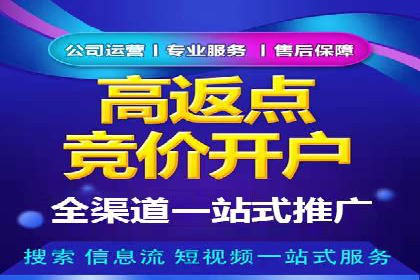 竞价广告案例分析：广告投放成本控制策略